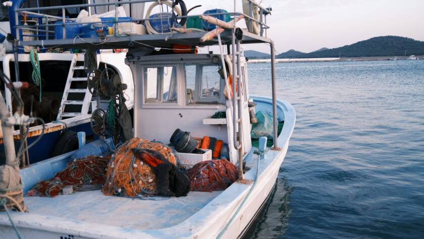 Confsal Pesca